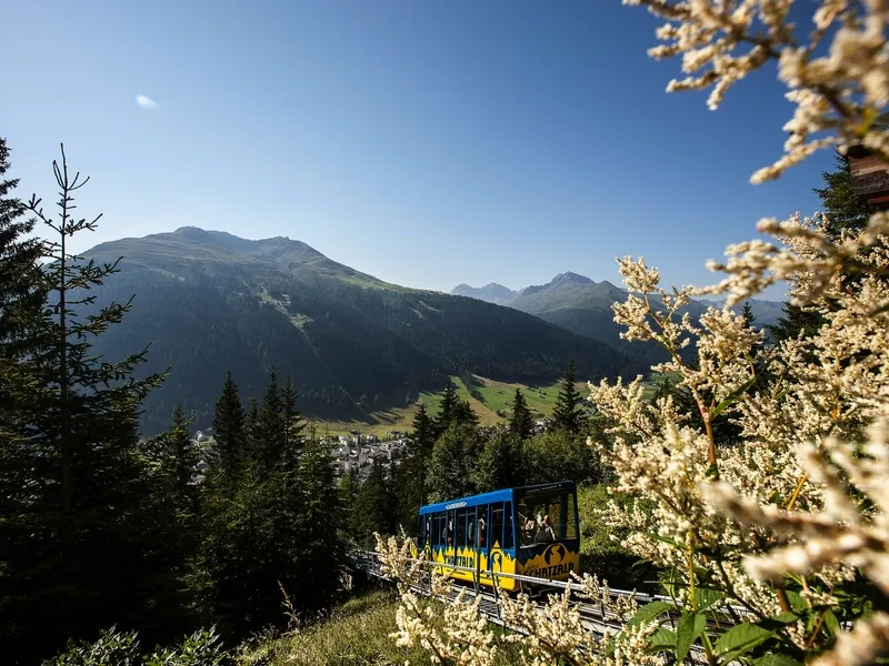 Davos