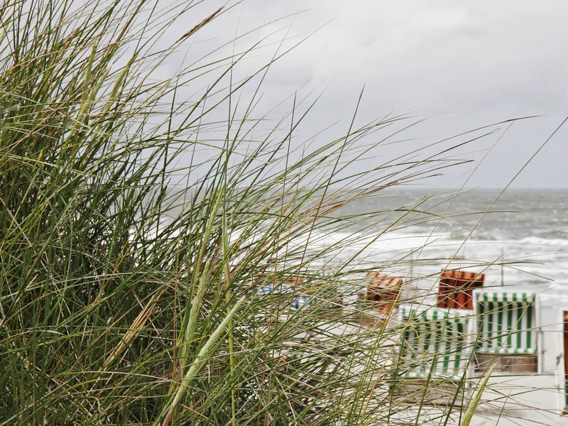 Wohlfühl-Auszeit am Meer: Sylt