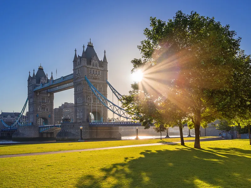 Tower Bridge in London bei Sonnenaufgang mit einem Baum im Vordergrund