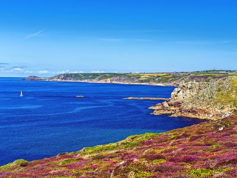 Küstenlandschaft mit blauem Meer, Felsen und Heidekraut im Vordergrund.