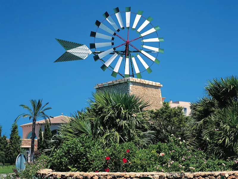 Mandelbaumblüte auf Mallorca