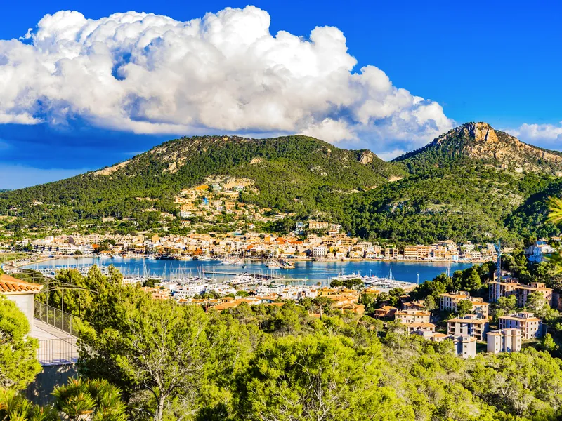 Blütenträume auf Mallorca