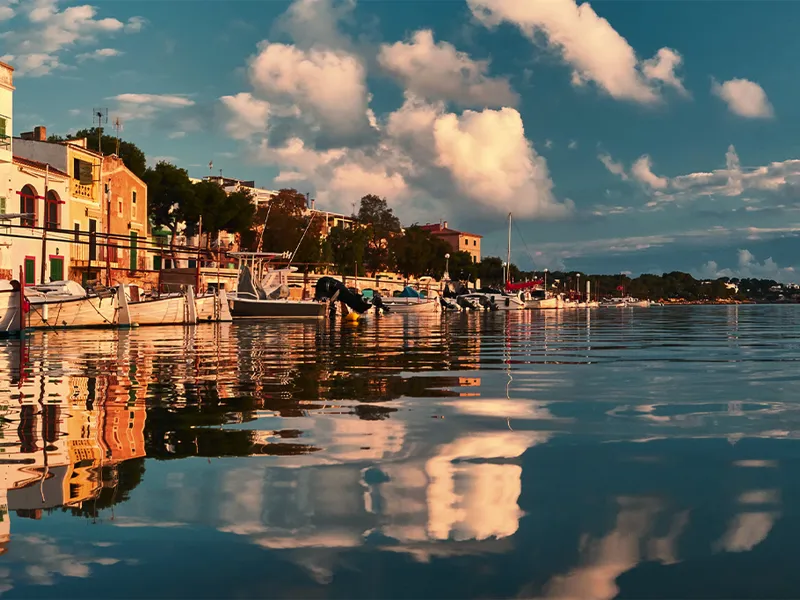 Blütenträume auf Mallorca