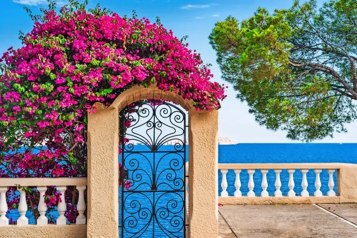 Cala Fornells