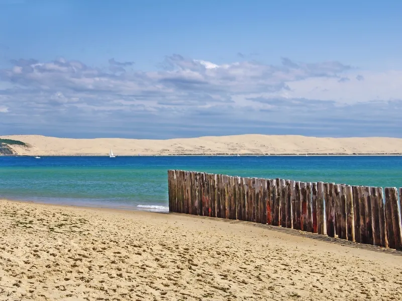 Cap Ferret