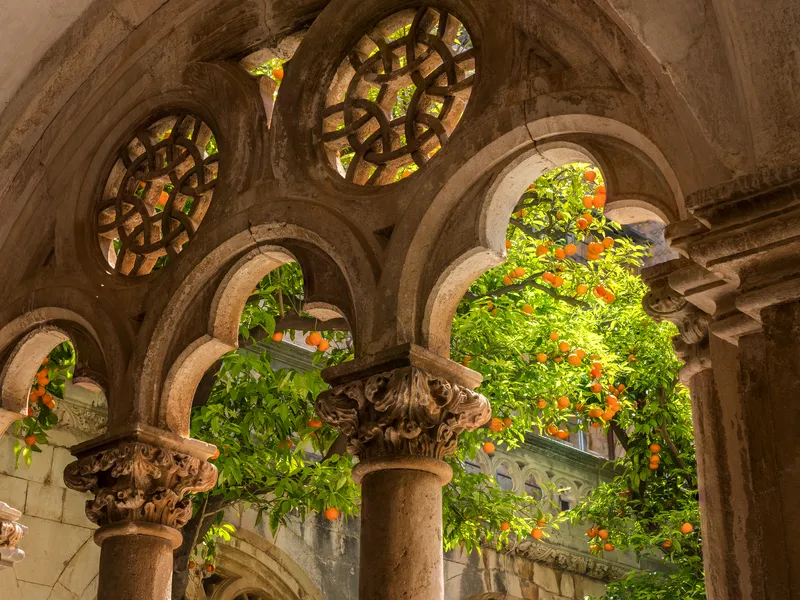 Mandarinenernte in Kroatien