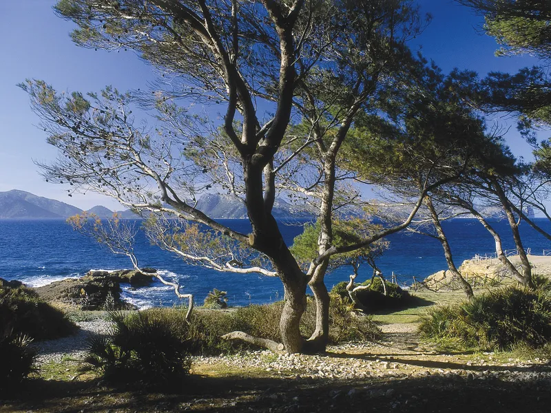 Cala Boquer