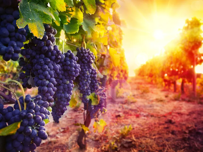 Die Rioja und das Baskenland