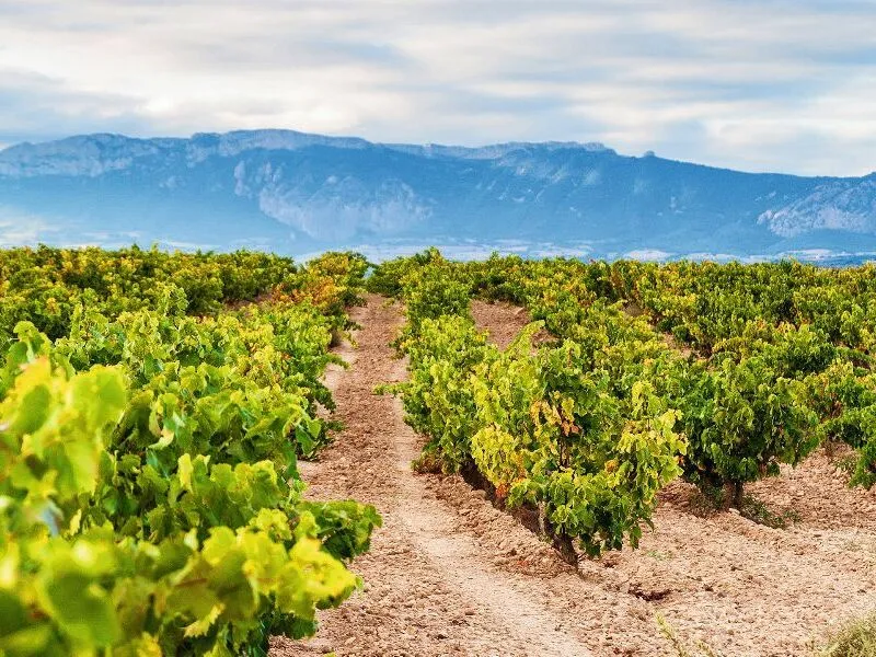 Die Rioja und das Baskenland