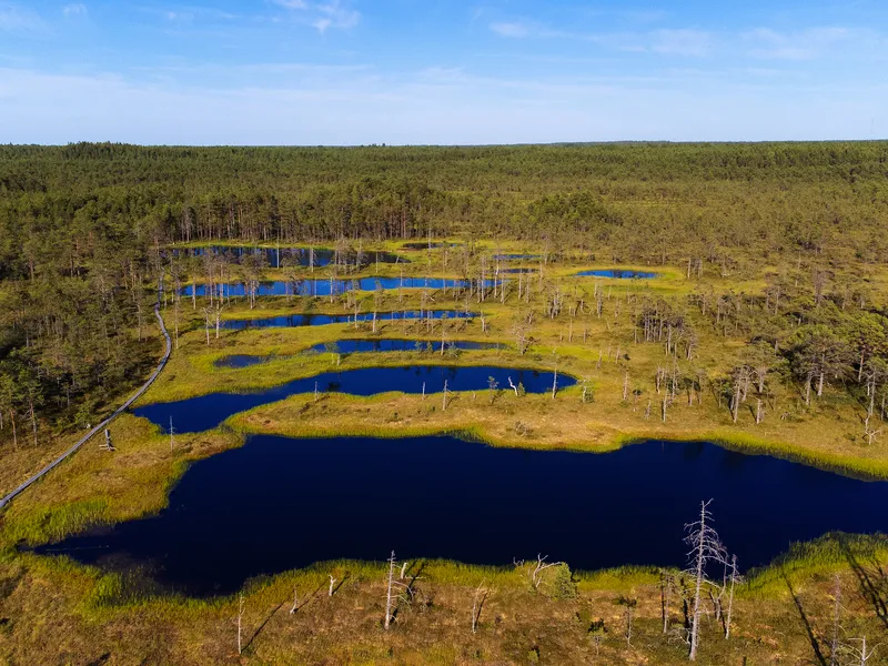 Vogelperspektive auf ein Moorgebiet mit mehreren Wasserflächen und umgebenden Wäldern.
