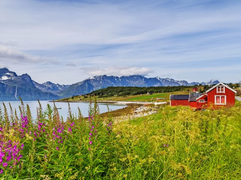 Grandioses Nordland - ohne Flug