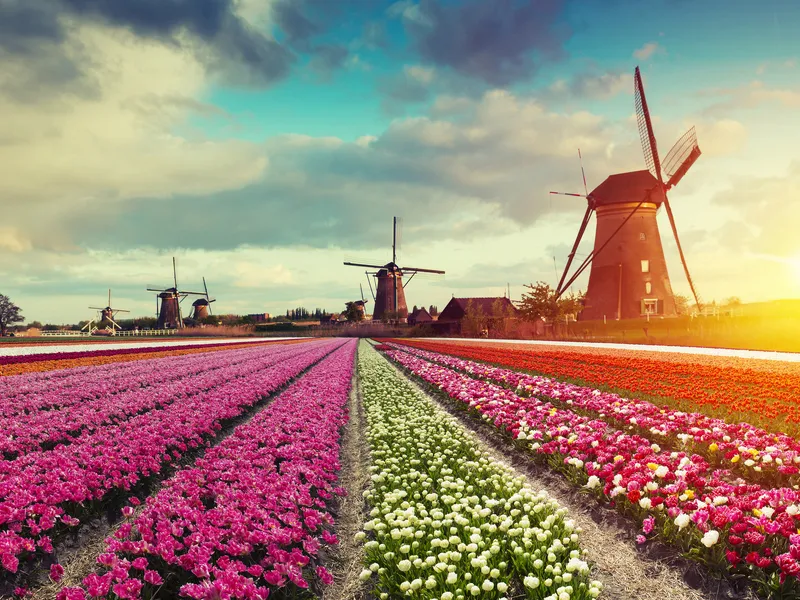 Keukenhof