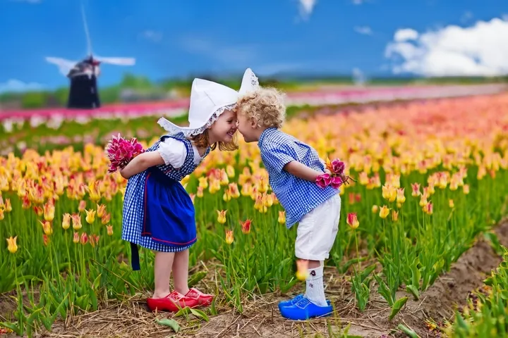 Tulpenfeld