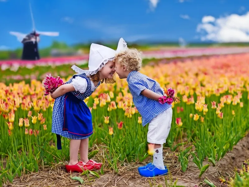 Tulpenfeld