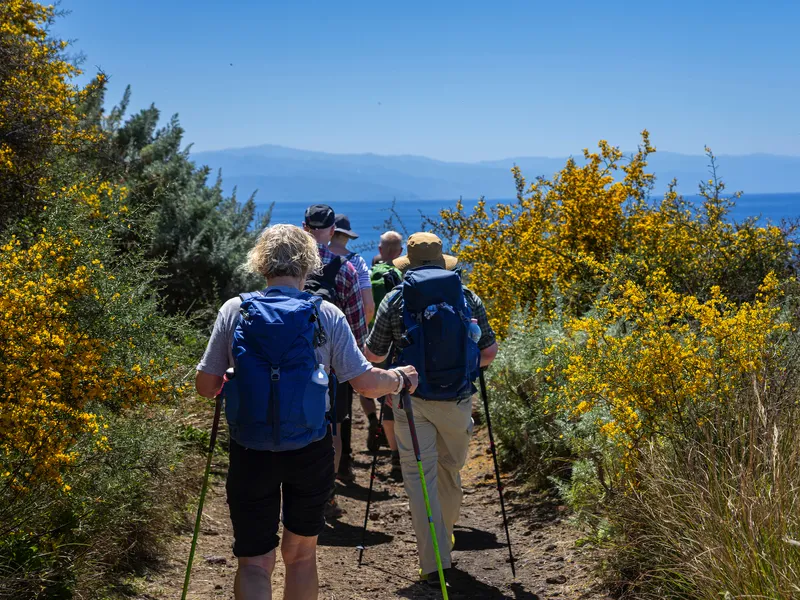 Menschen wandern auf einem schmalen Pfad in einer Landschaft mit Meerblick.