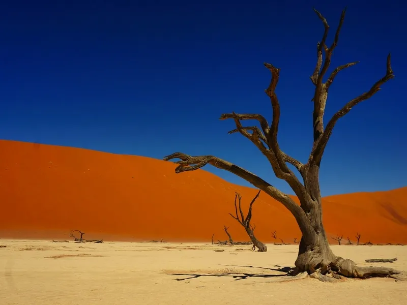 Faszination Namibia - die klassische Rundreise