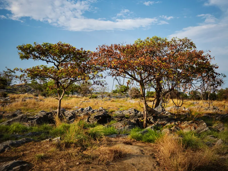 Faszination Namibia - die klassische Rundreise