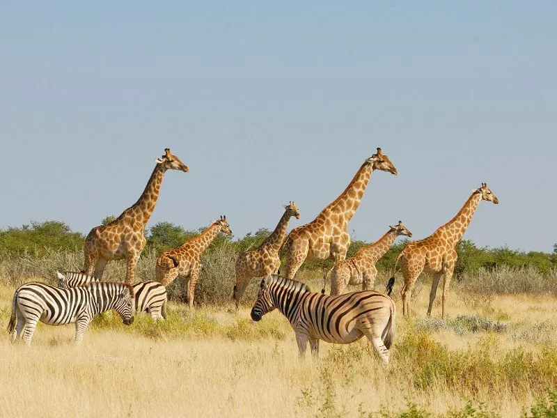 Faszination Namibia - die klassische Rundreise