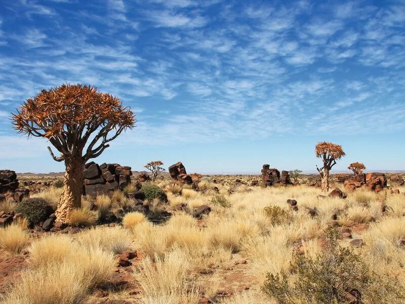 Faszination Namibia - die klassische Rundreise