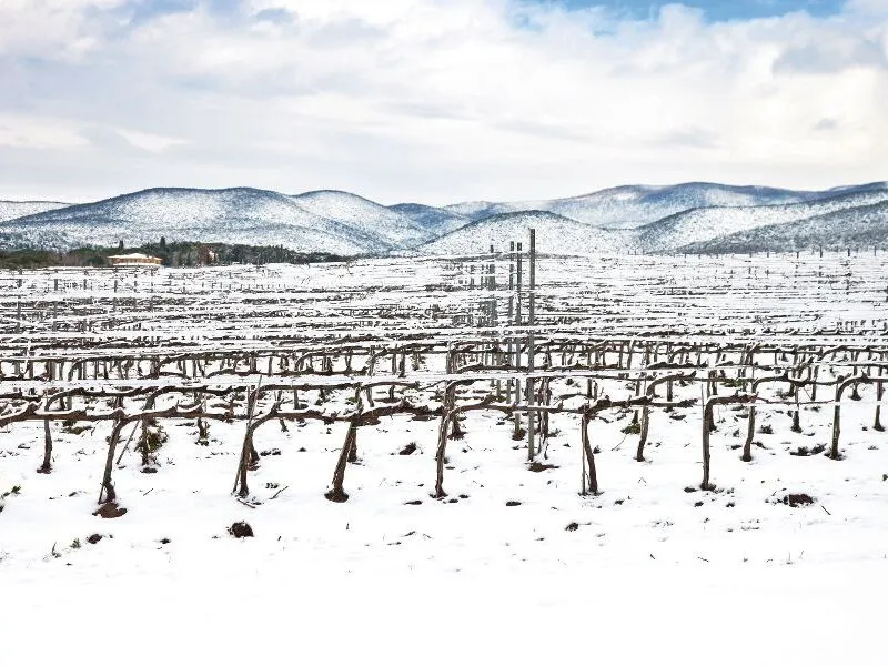Festtagsreise »Toscana grandiosa«