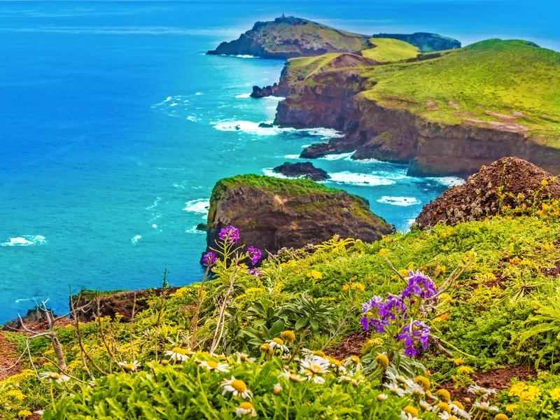 Ponta de São Lourenço