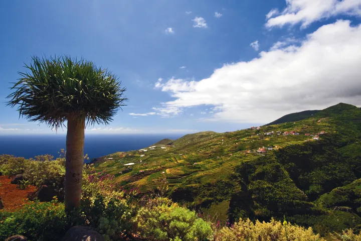 hauser.aktivo: La Palma - Isla Bonita