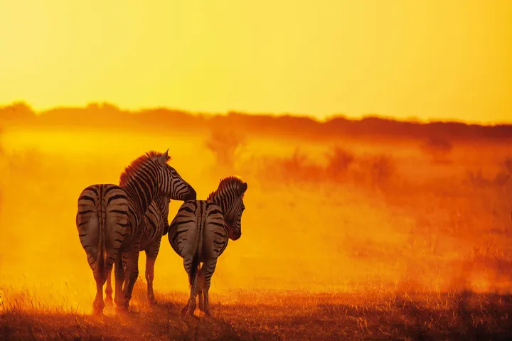 Faszinierendes Namibia - die große Rundreise