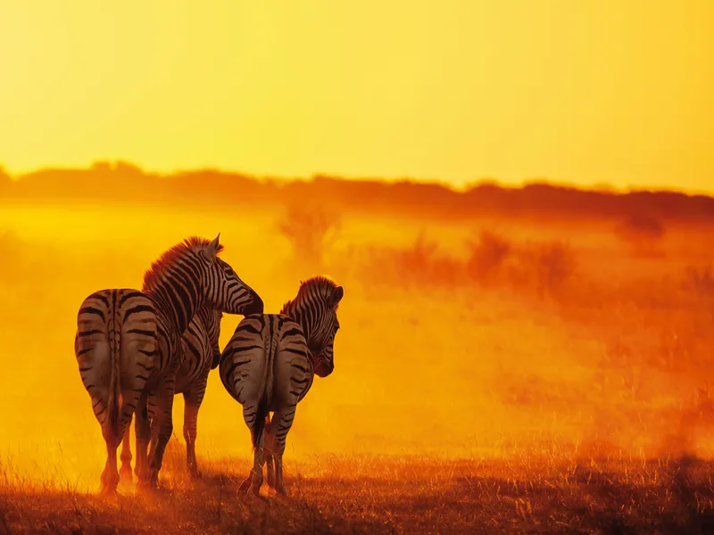 Faszinierendes Namibia - die große Rundreise