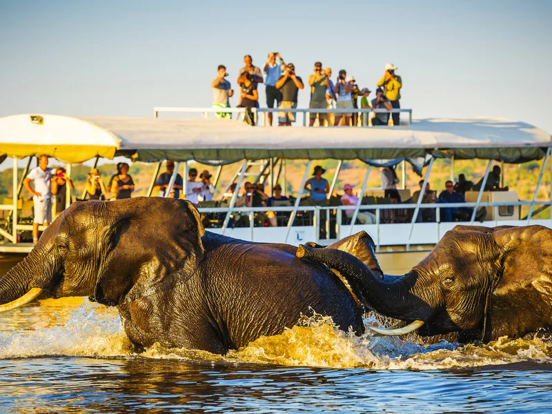 Chobe Nationalpark