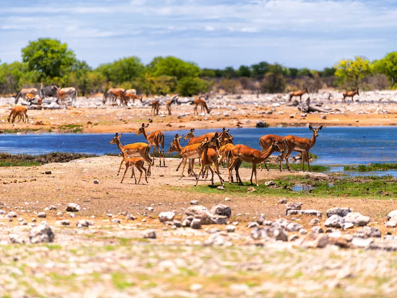 Namibia, Botswana & Simbabwe