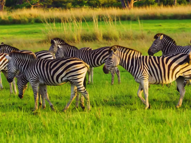 Mahango Nationalpark
