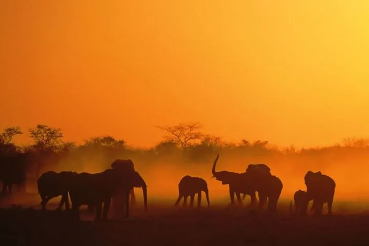 Namibia, Botswana & Simbabwe
