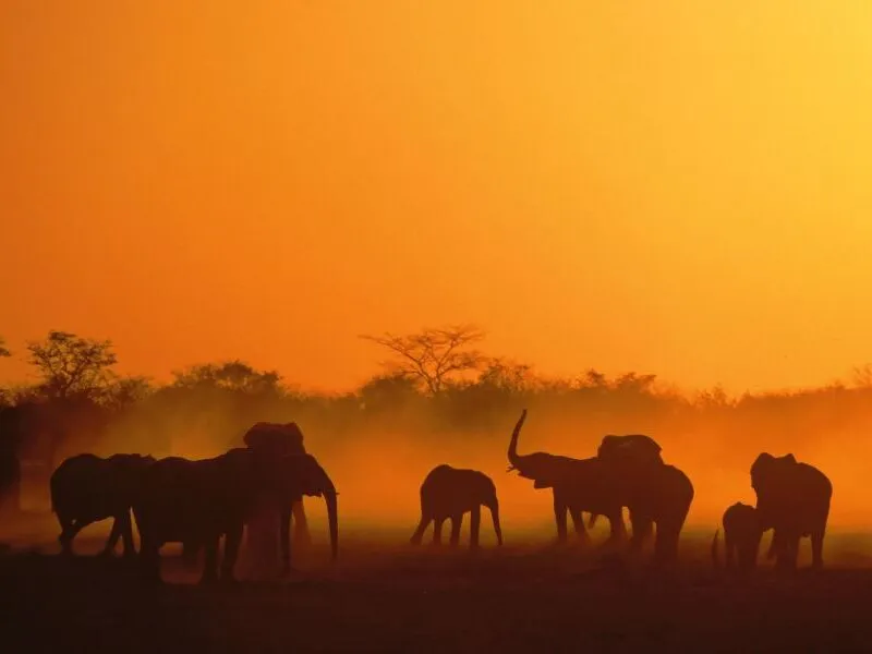 Namibia, Botswana & Simbabwe