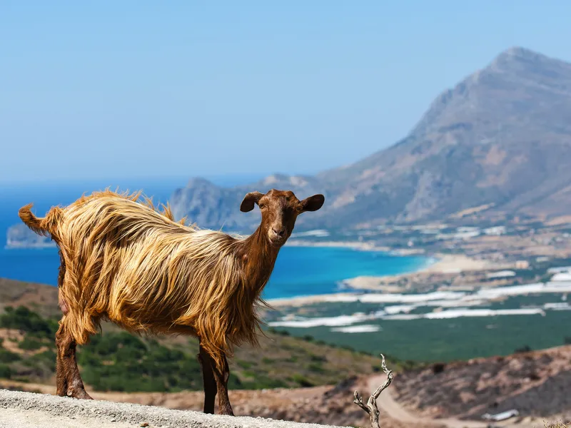 Kreta