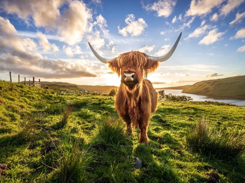 Best of Scotland - die große Rundreise