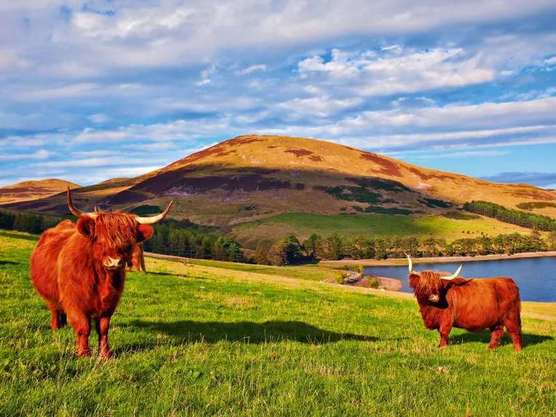 Die Highlands