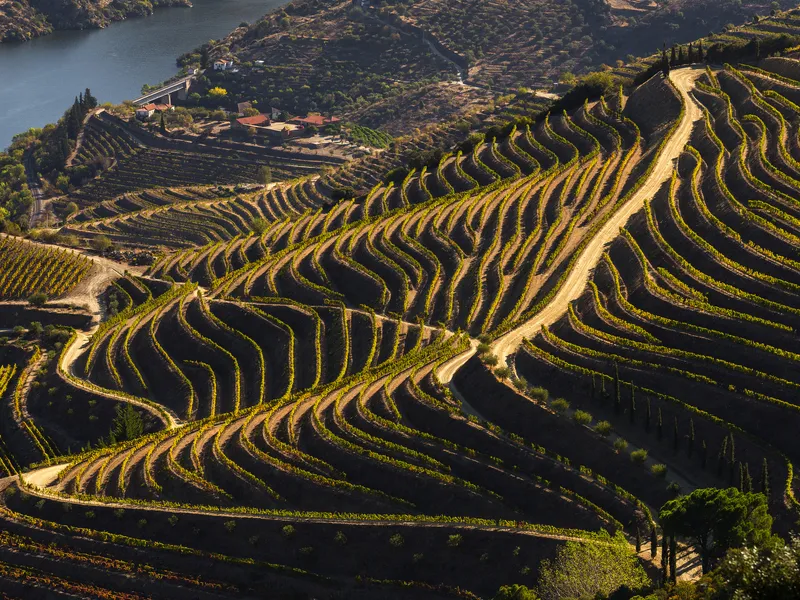 Douro-Tal