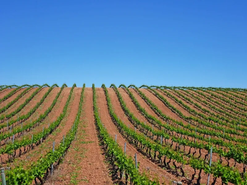 Rioja, Kastilien & Douro