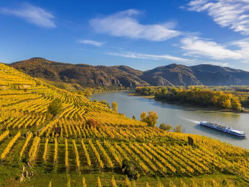 Weinberg an Fluss mit Boot und Hügeln im Hintergrund bei sonnigem Wetter