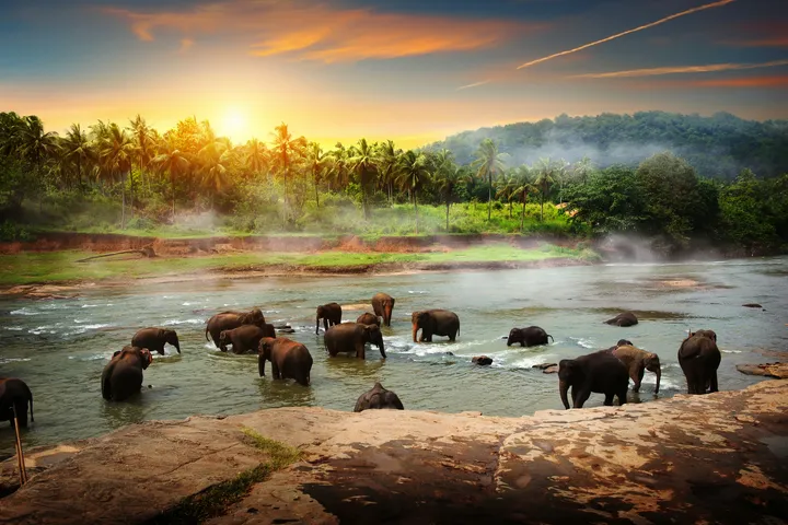 Sri Lanka