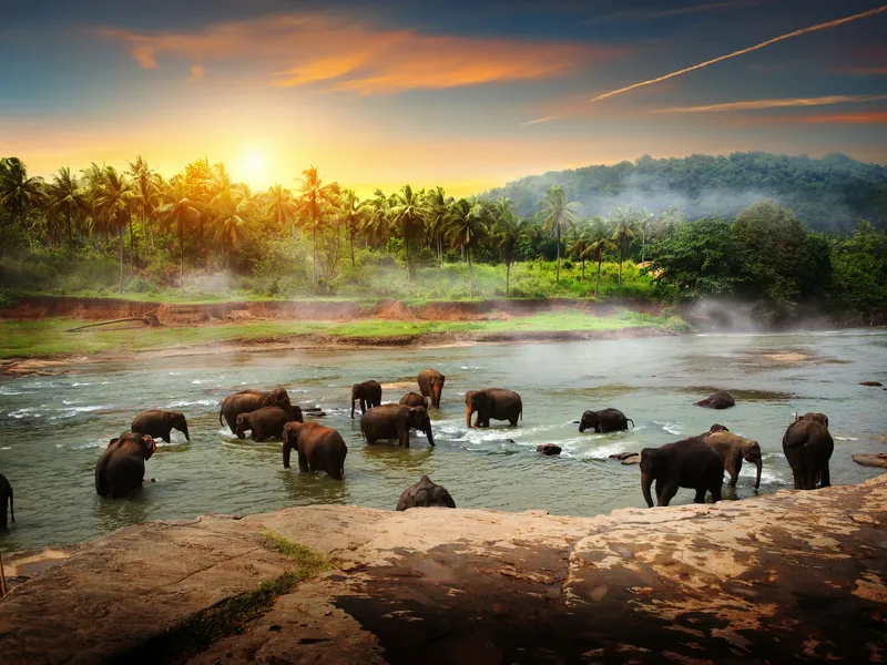 Sri Lanka