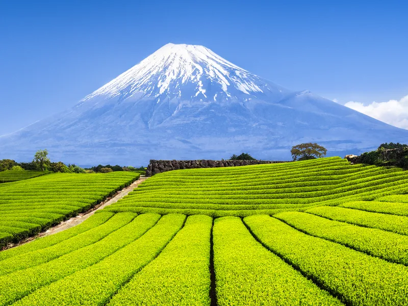 Berg Fuji