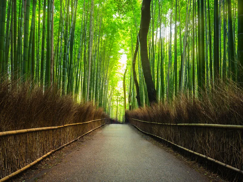 Kyoto