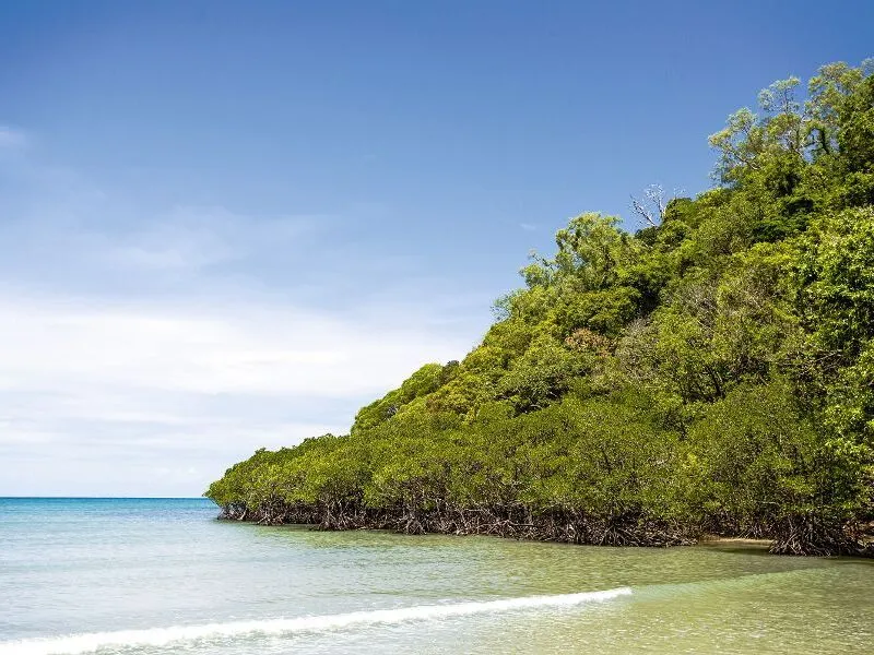 Cairns
