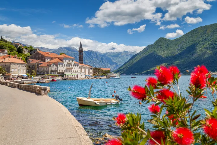 Kotor