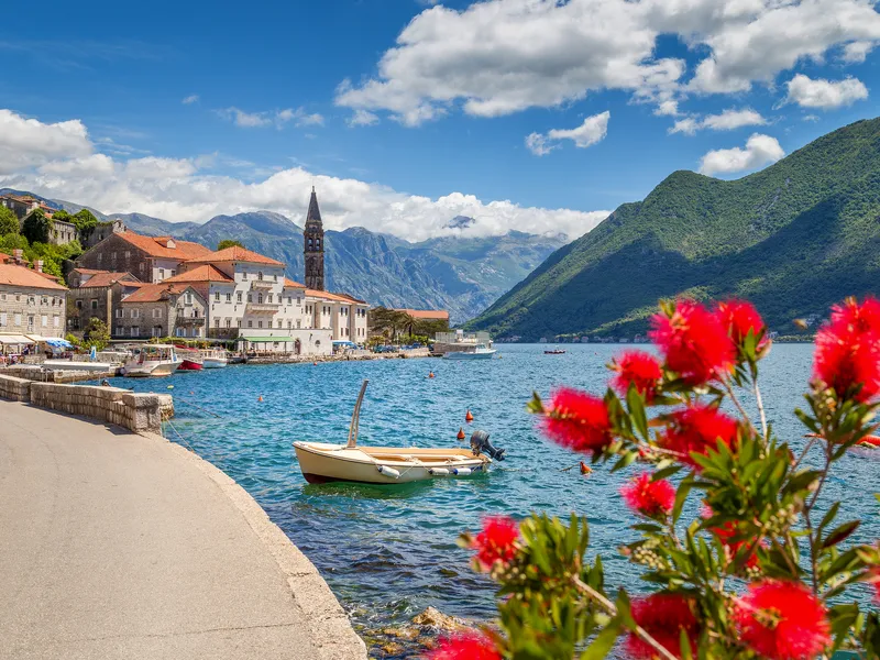 Kotor