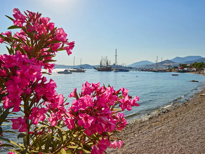 Perlen der Ägäis: Kos mit Bodrum