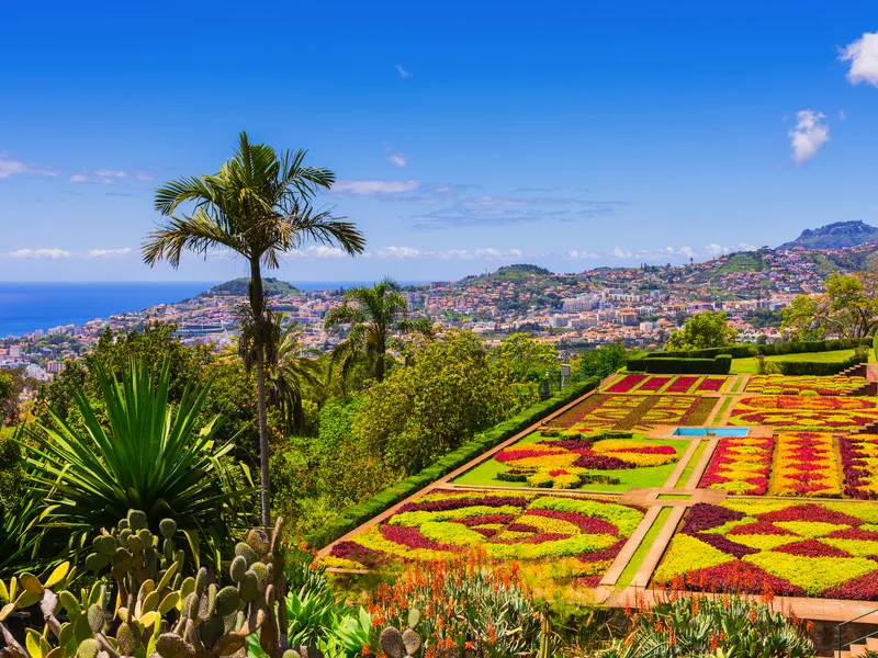 Botanischer Garten mit Blick auf eine Stadt und das Meer im Hintergrund.
