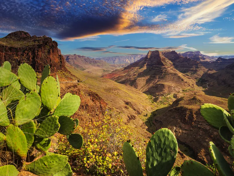 Berge und Täler der Insel Gran Canaria bei Sonnenuntergang, umgeben von Kakteen im Vordergrund.