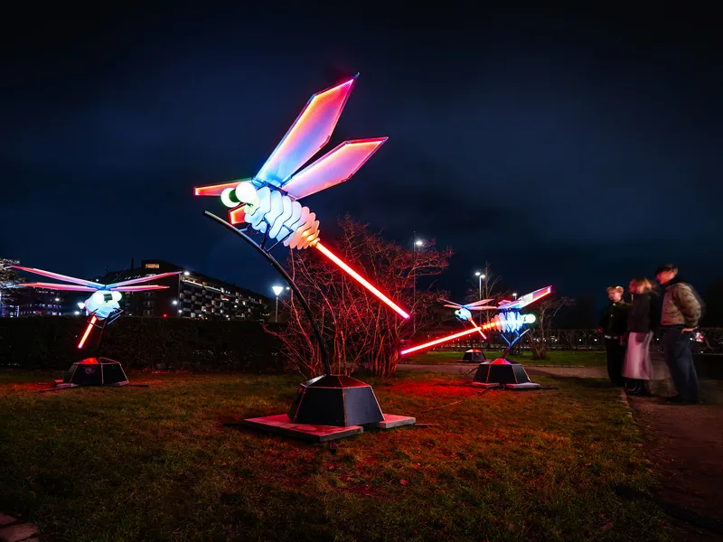 Leuchtende Libellenskulpturen bei Nacht, umgeben von Zuschauern im Hintergrund.